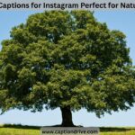 Tree Captions