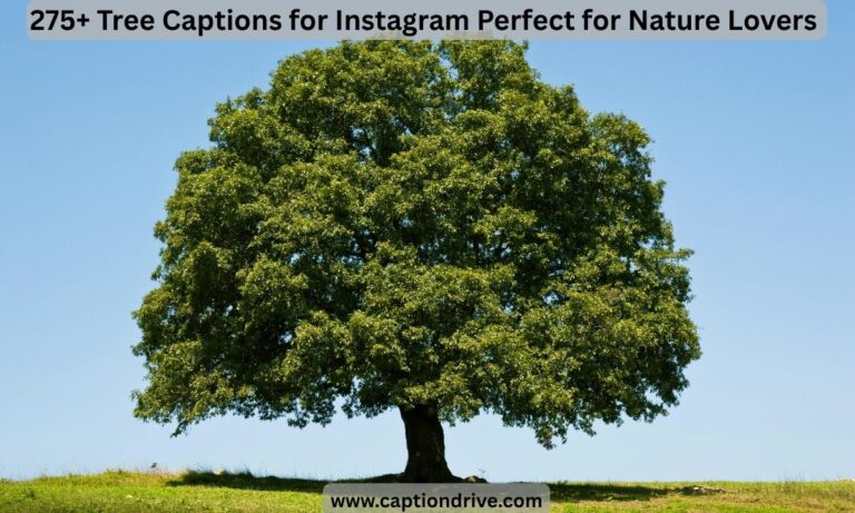 Tree Captions