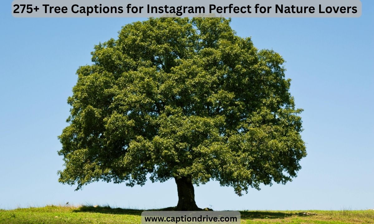 Tree Captions